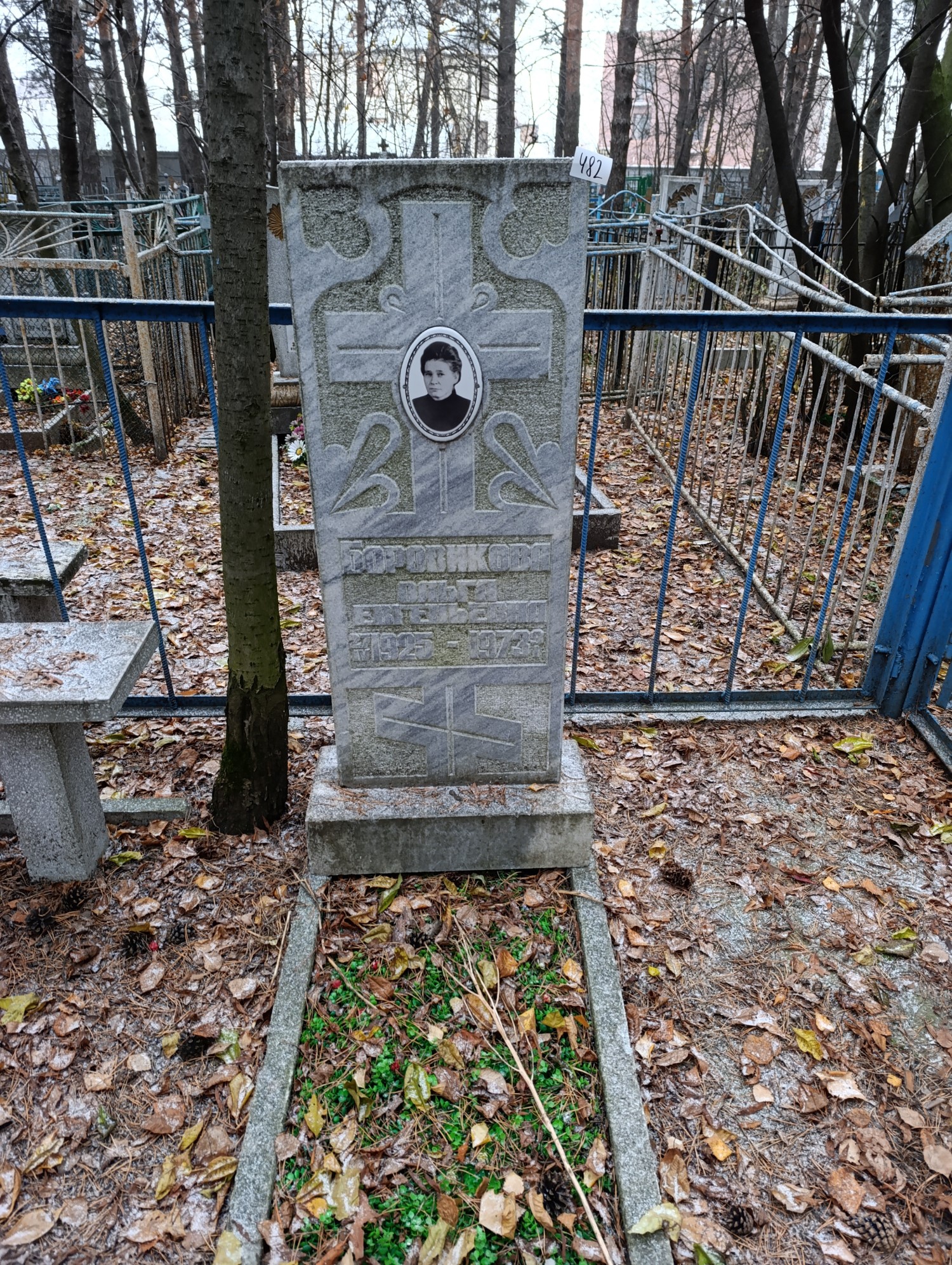 Боровикова Ольга Евгеньевна
