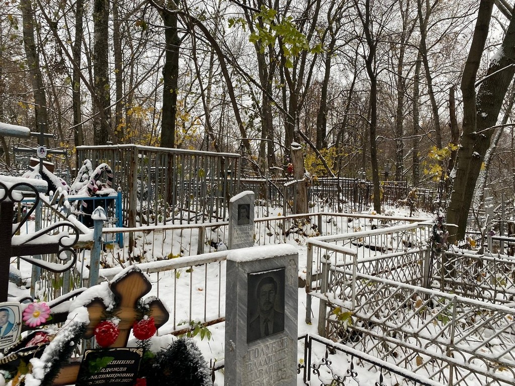 Гришаев Дмитрий Николаевич