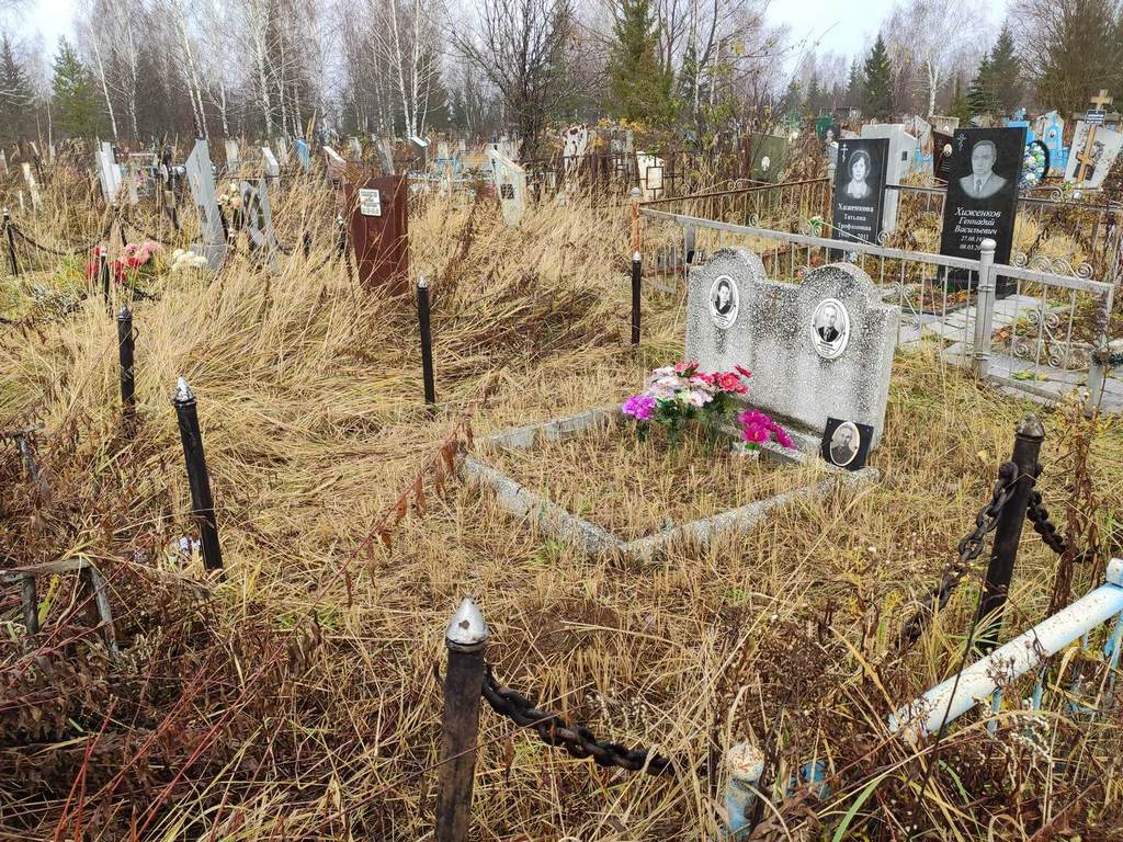 Воронов Александр Иванович
