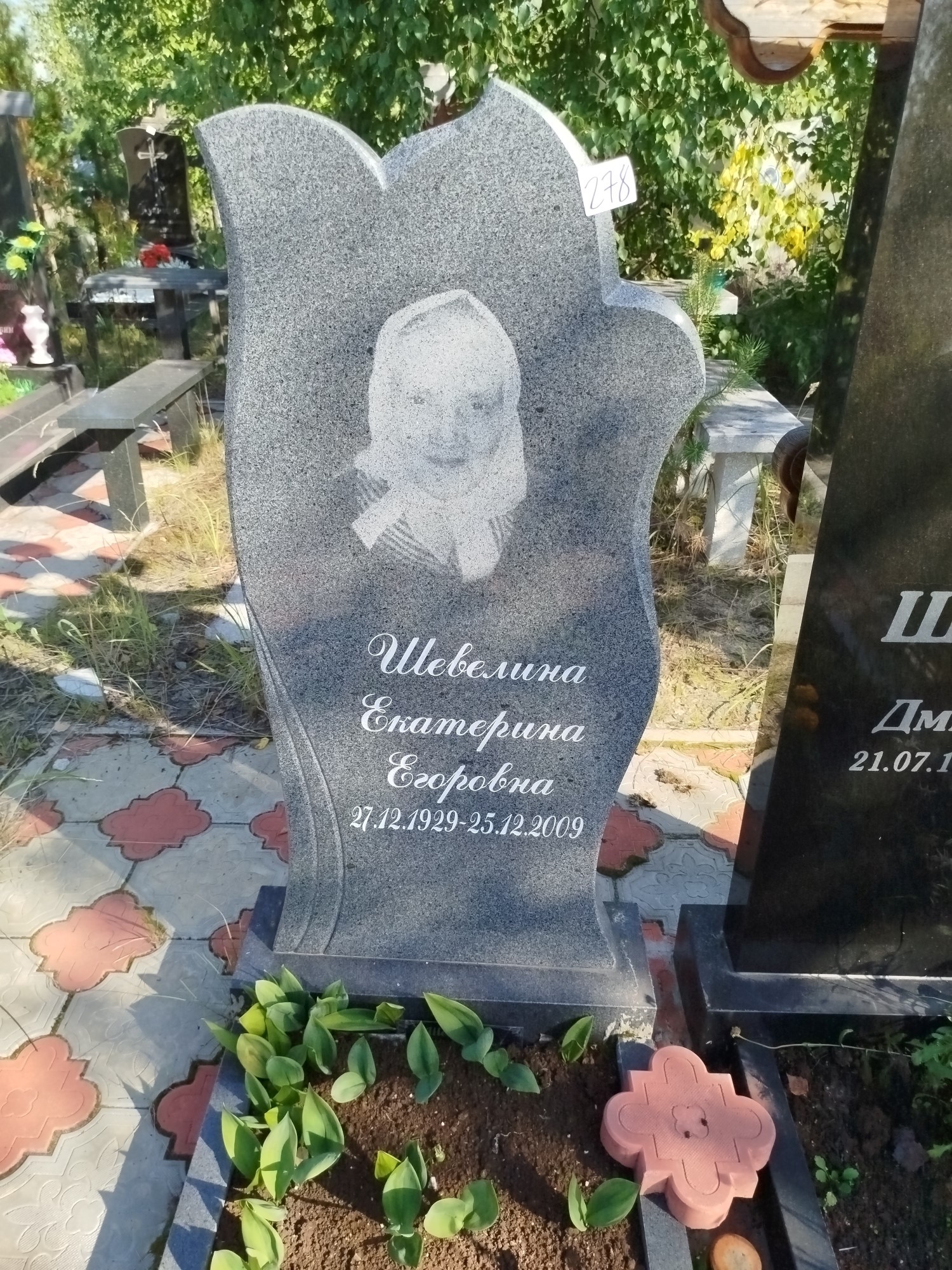 Шевелина Екатерина Егоровна