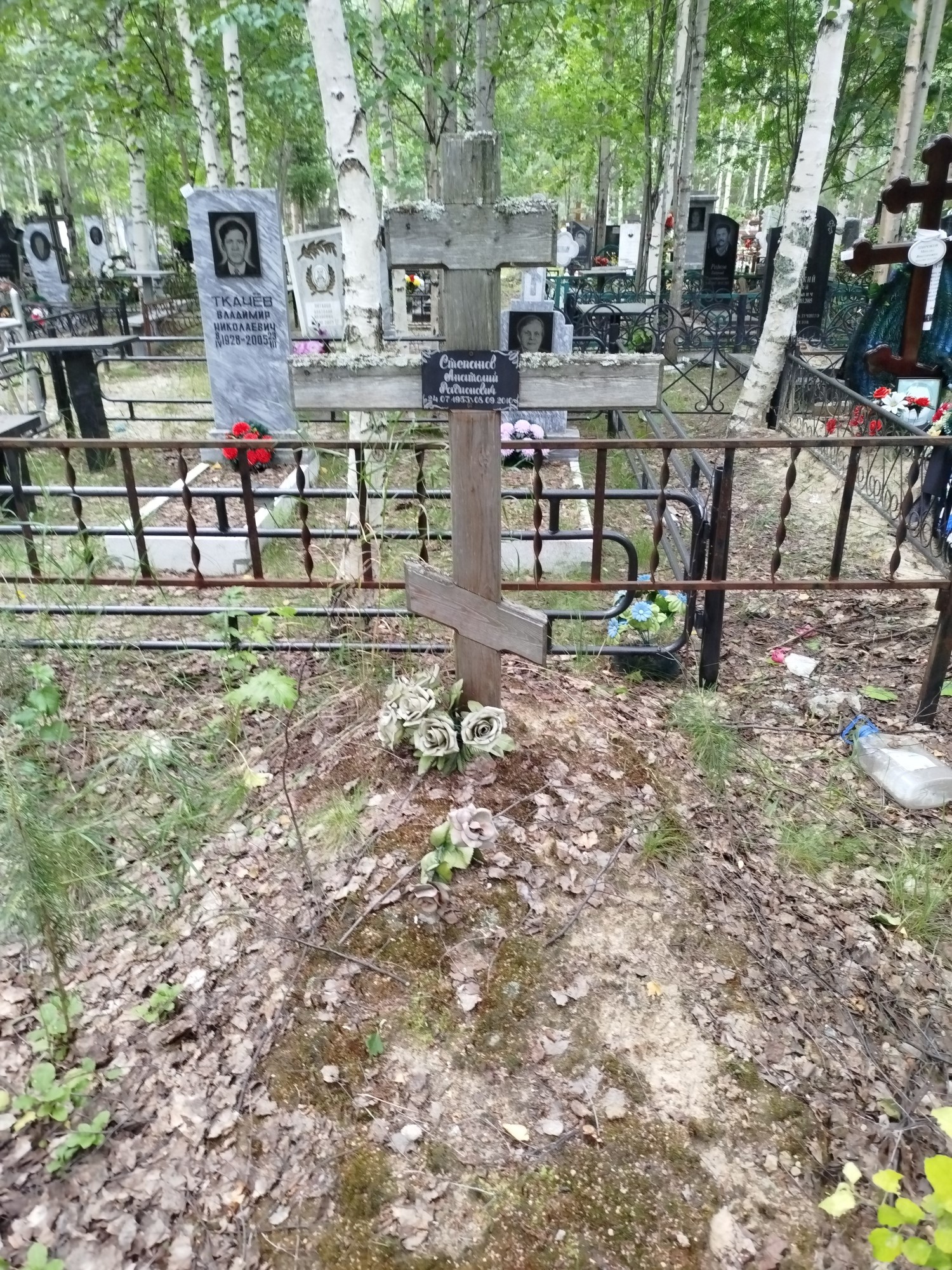 Степанов Анатолий Родионович
