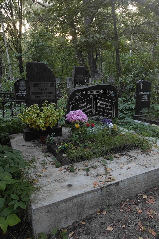 Соколовский Яков Вениаминович