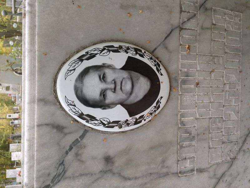 Строгонкова