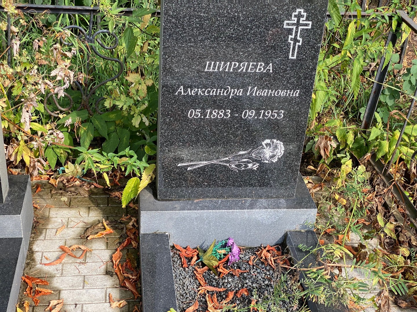 Ширяева Александра Ивановна