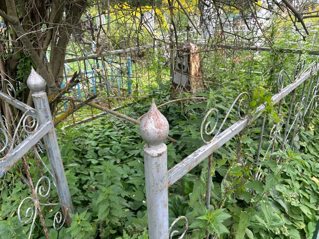Карев Сергей Георгиевич