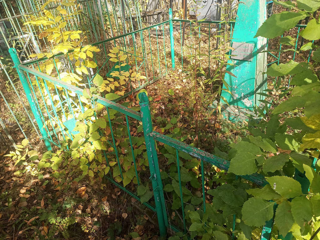 Корючкина Анфиса Григорьевна
