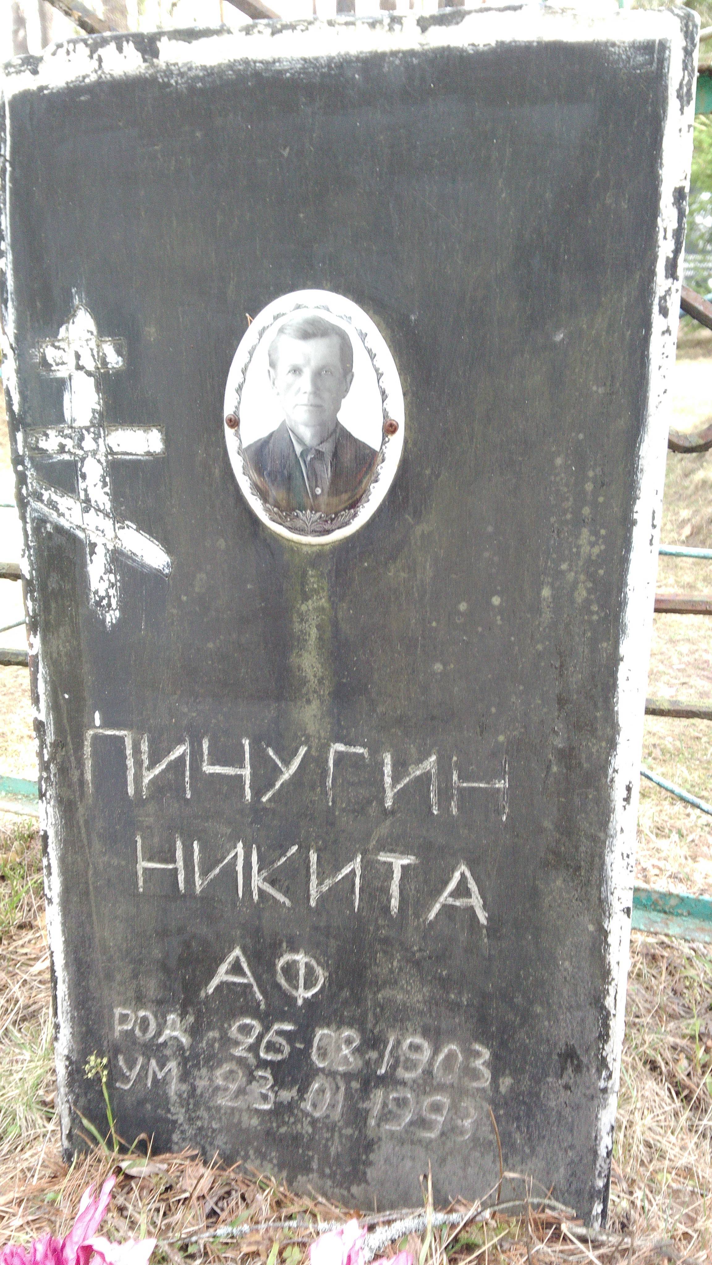 Пичугин Никита А