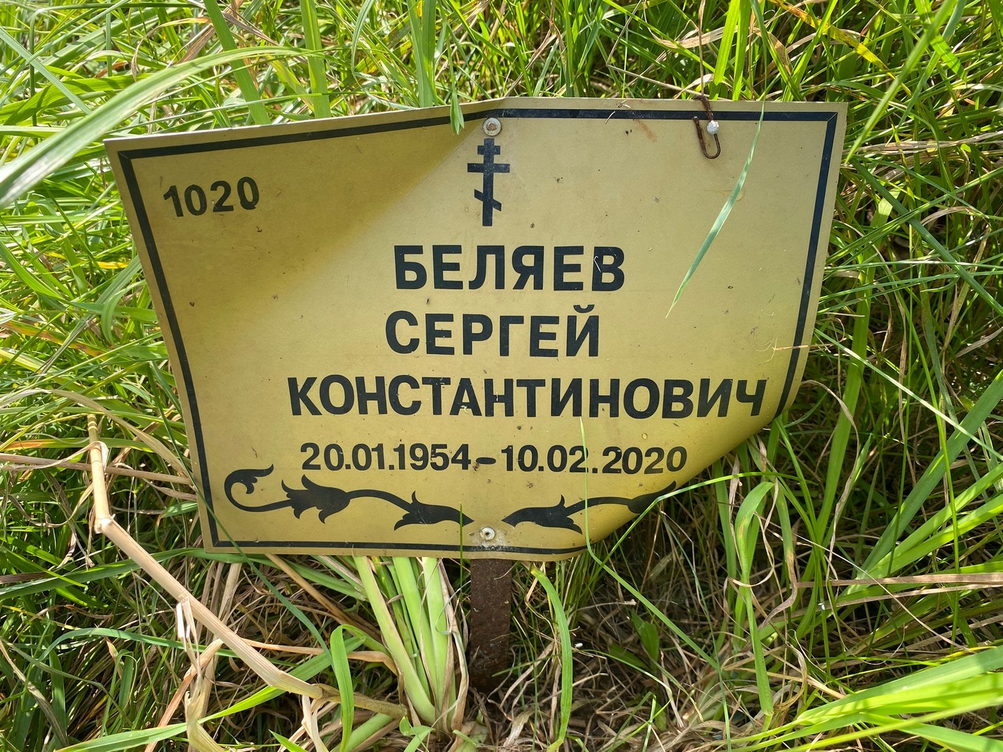 Беляев