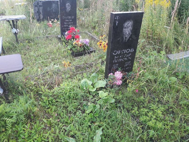 Орлов Николай Петрович