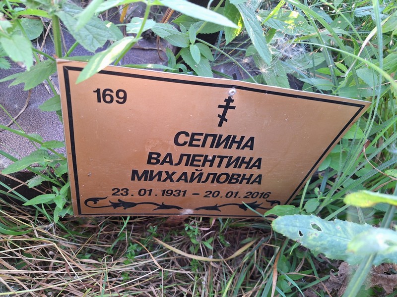 Сепина
