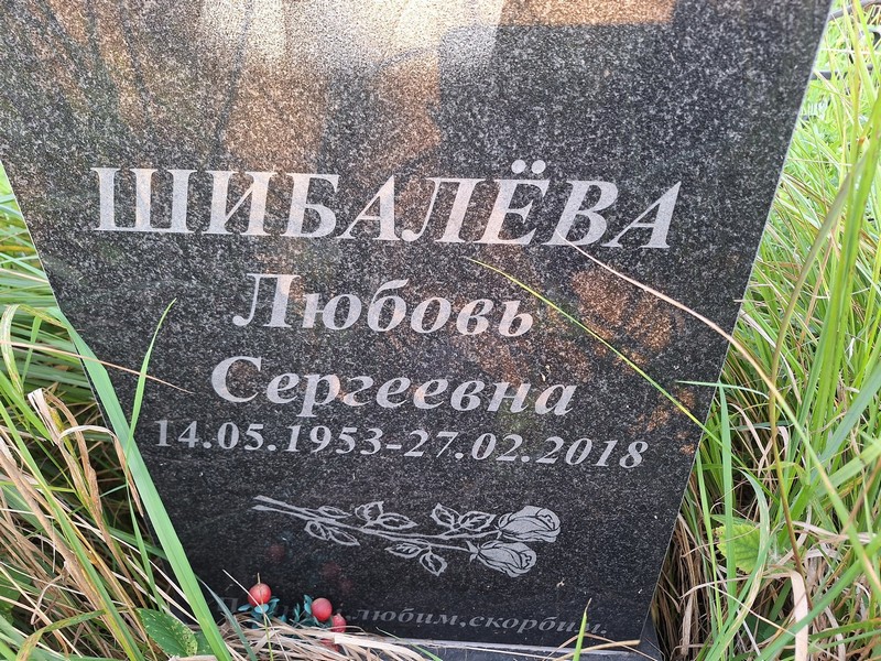 Шибалева