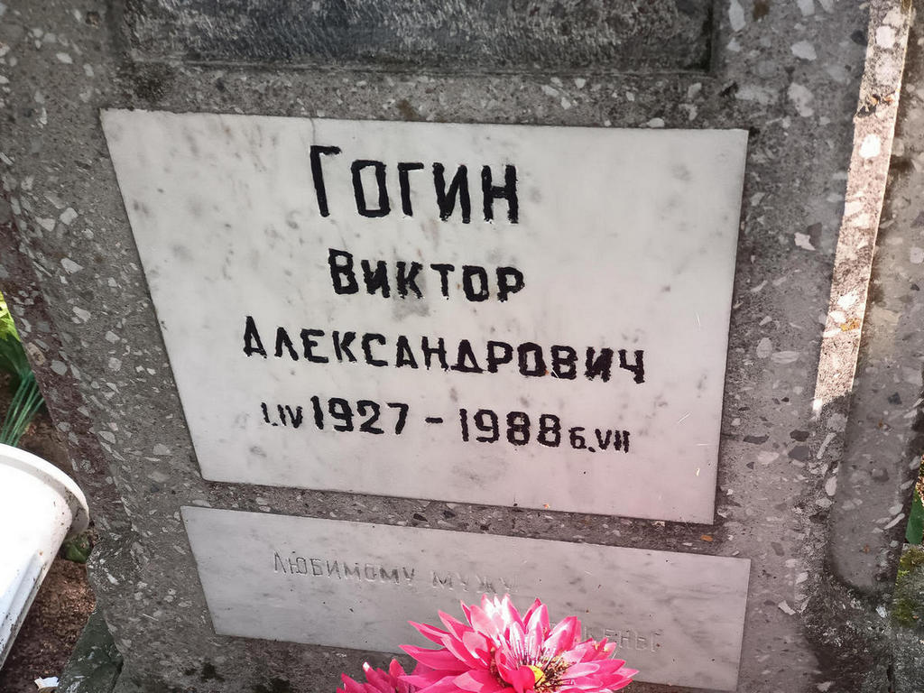 Гогин Виктор Александрович