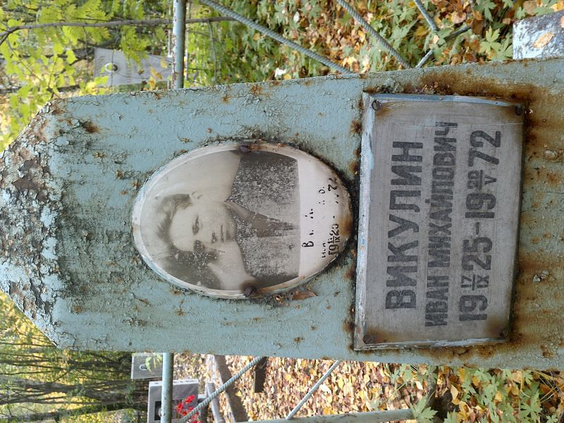 Викулин