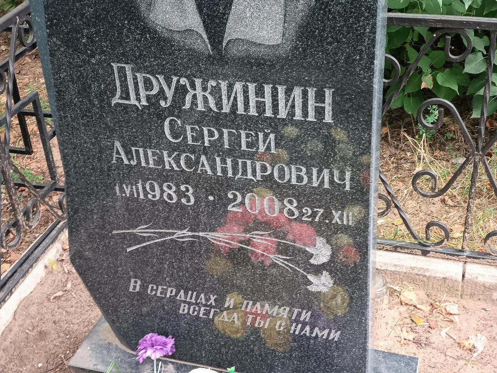 Дружинин Сергей Александрович