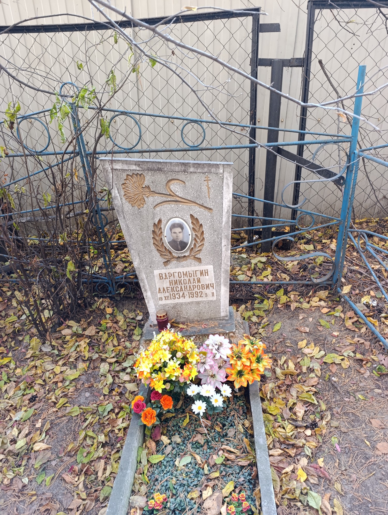 Варгомыгин Николай Александрович