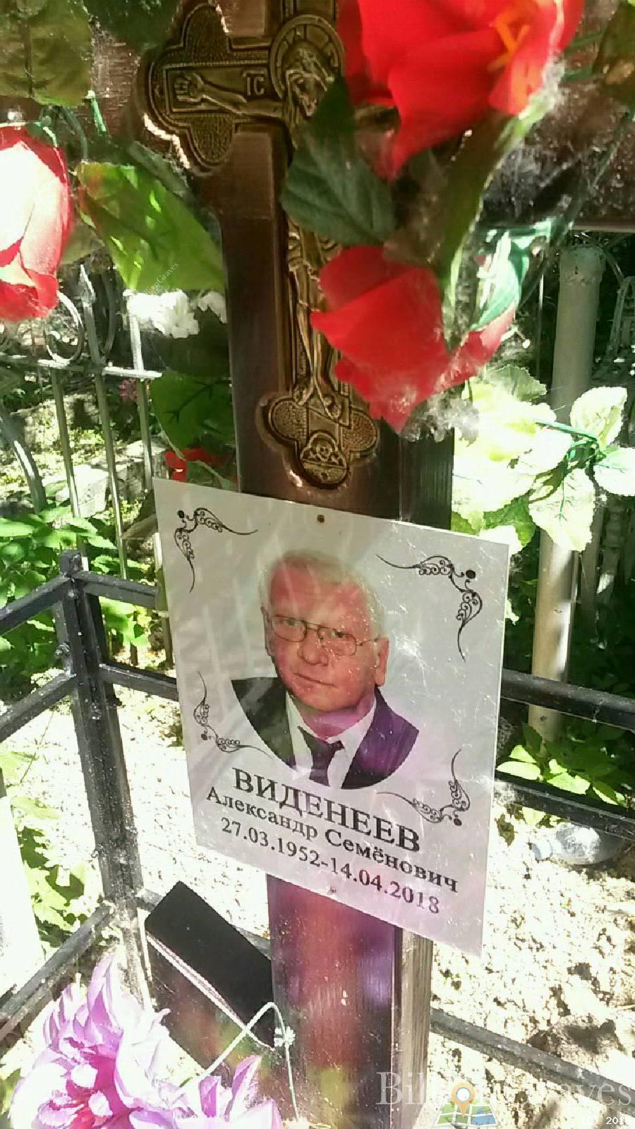 Виденеев Александр Семенович