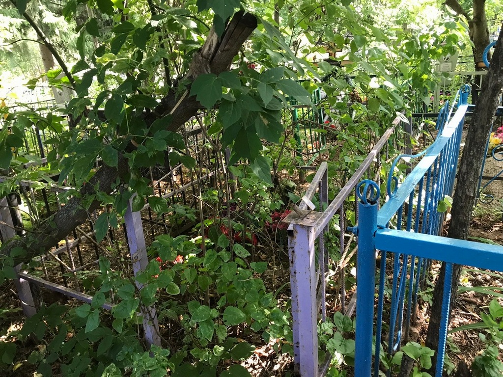 Шверина Татьяна Глебовна