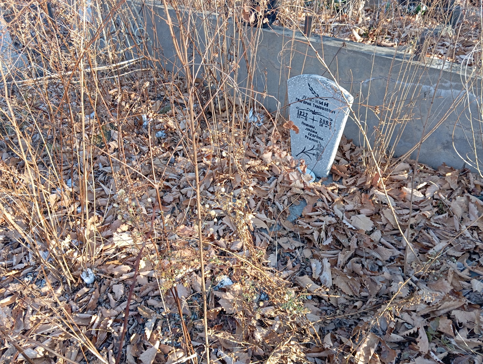 Лискин Григорий Тимофеевич