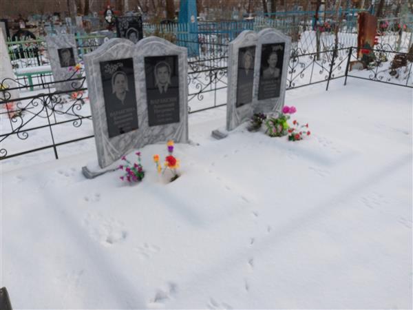 Вараксина Елизавета Антоновна