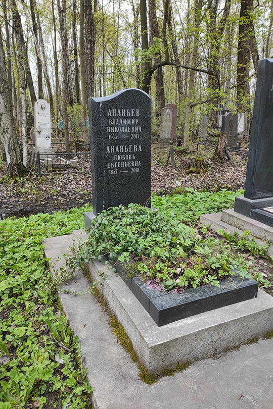 Ананьев Владимир Николаевич