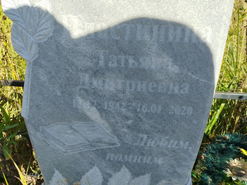 Пластинина
