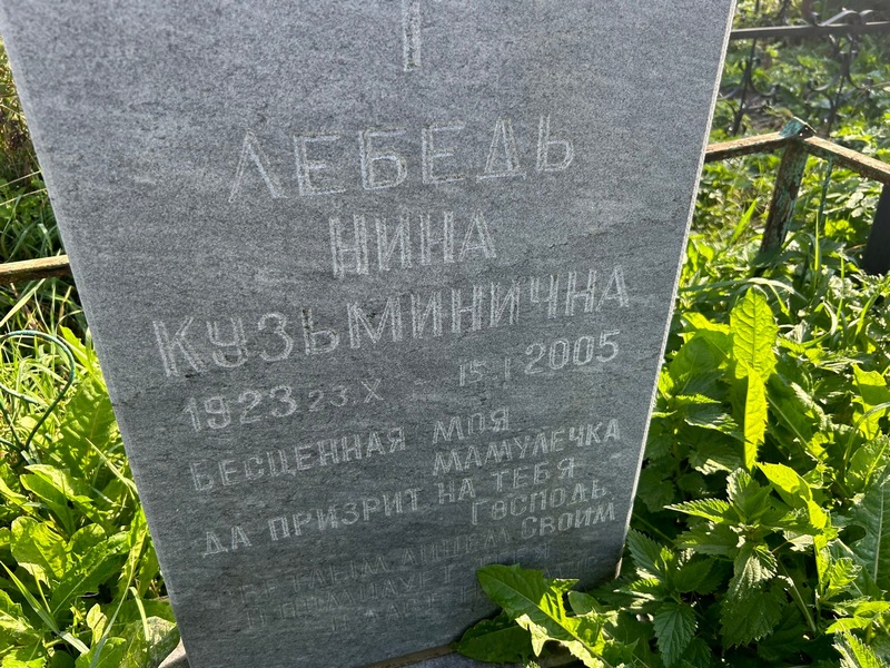 Лебедь