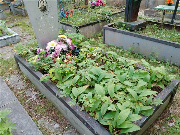 Фертикова Александра Петровна