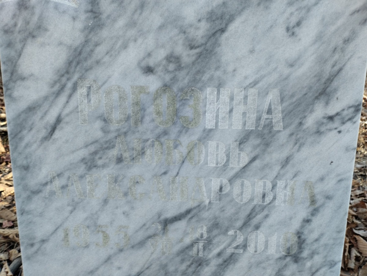Рогозина Любовь Александровна