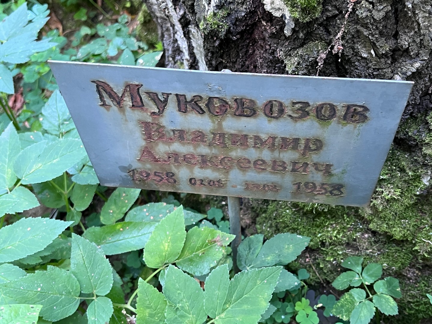 Муковозов