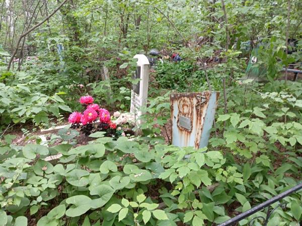 Хамиченок Валентина Дмитриевна