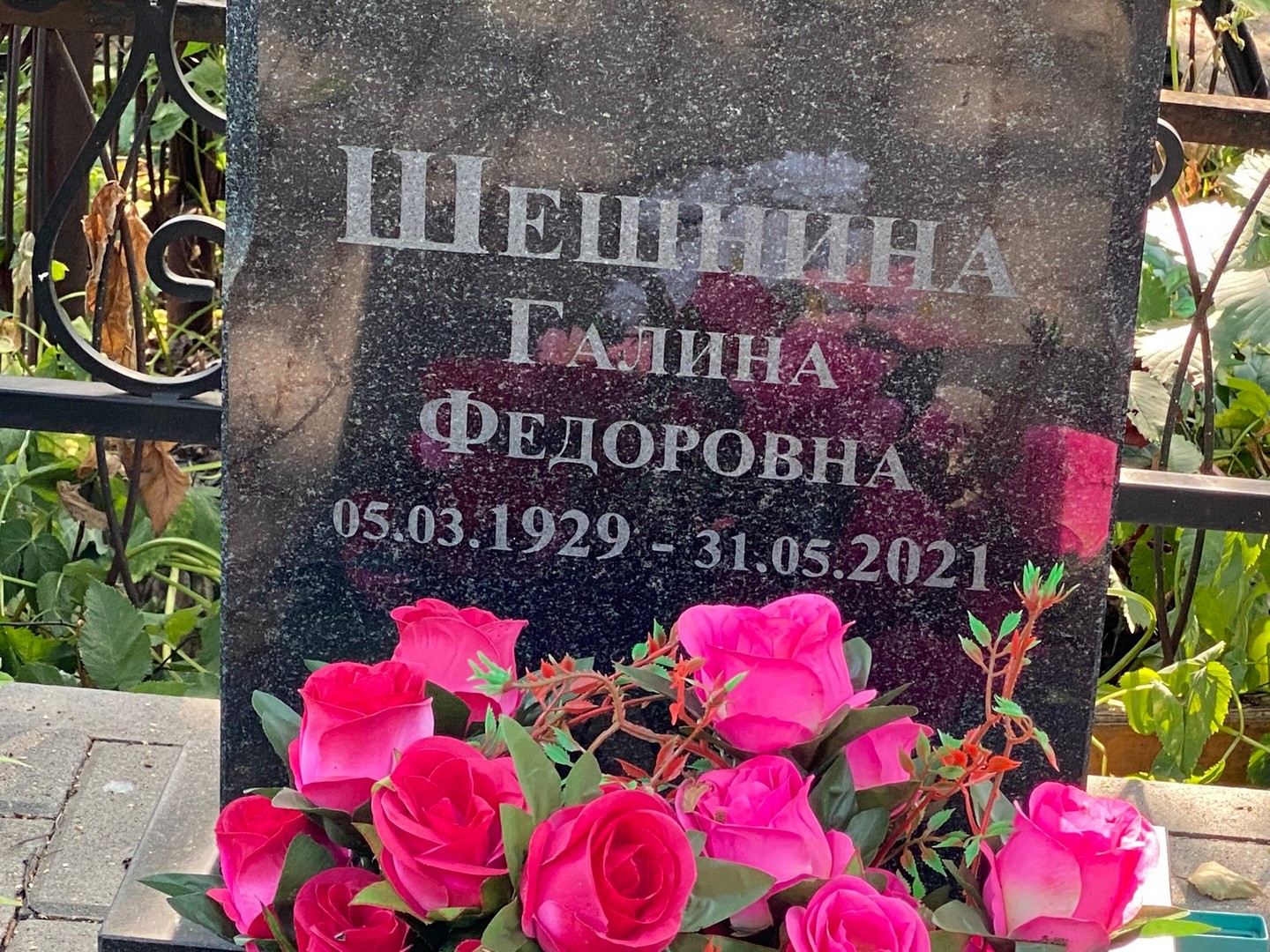 Шешнина