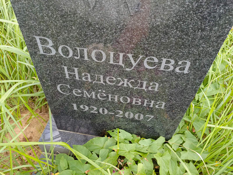 Волоцуева