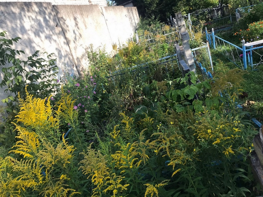 Урова Анна Ивановна