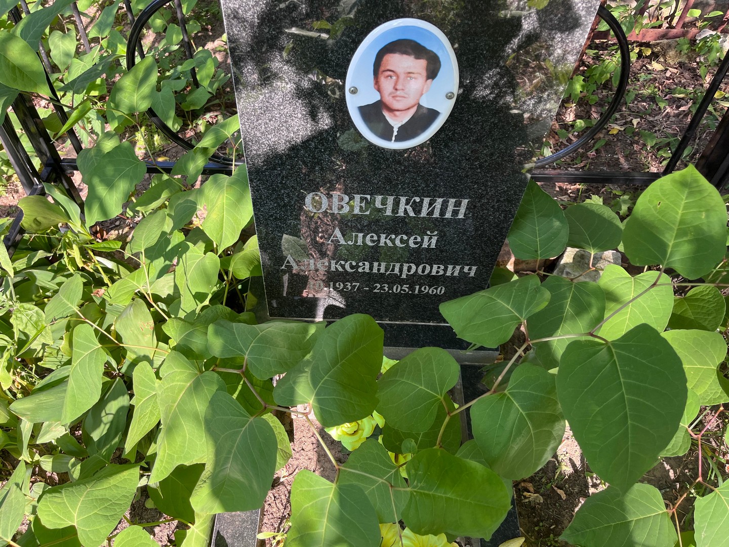 Овечкин