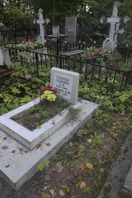 Сухарева (Собакина) К. В.