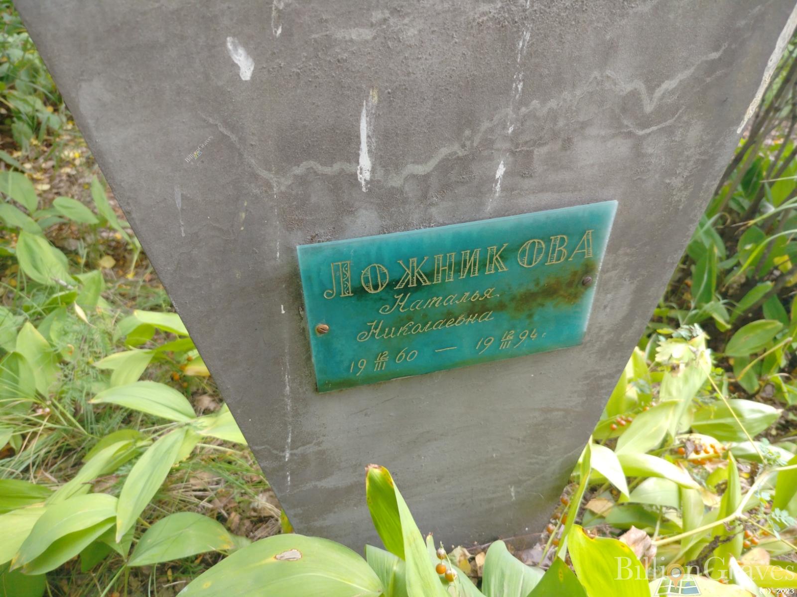 Ложникова Наталья Николаевна