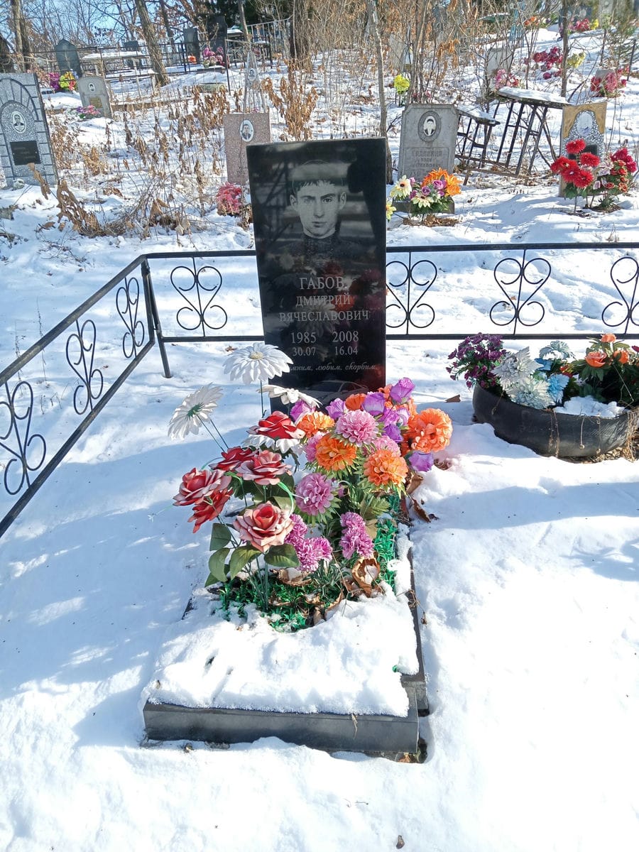 Габов Дмитрий Вячеславович