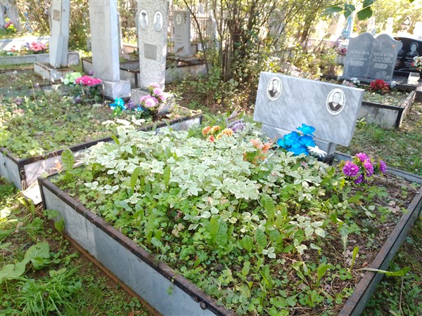 Кукарцев Степан Ильич