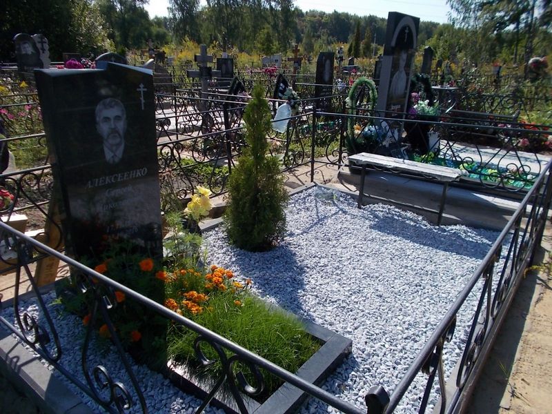 Алексеенко Сергей Николаевич
