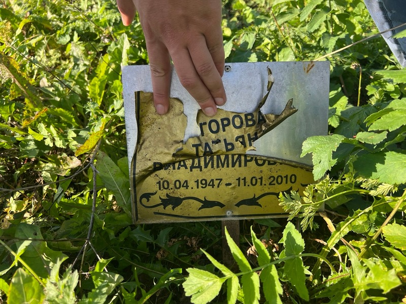 Егорова