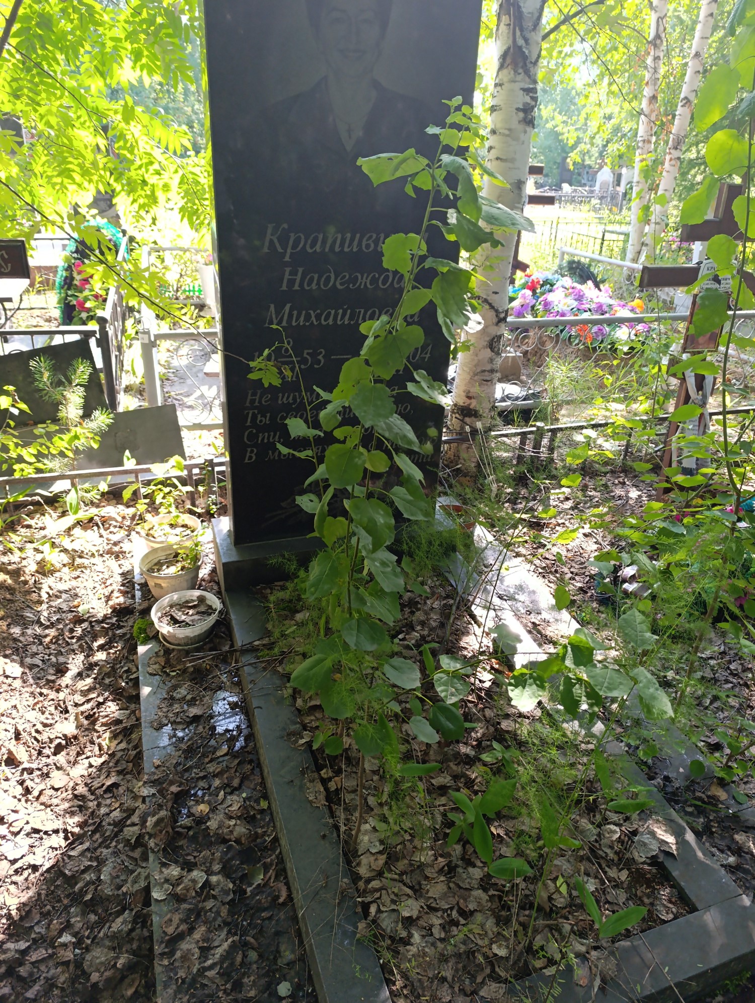 Крапивина Надежда Михайловна