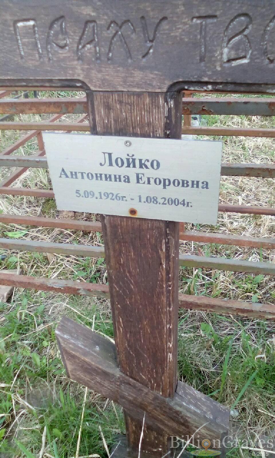 лойко антонина егоровна
