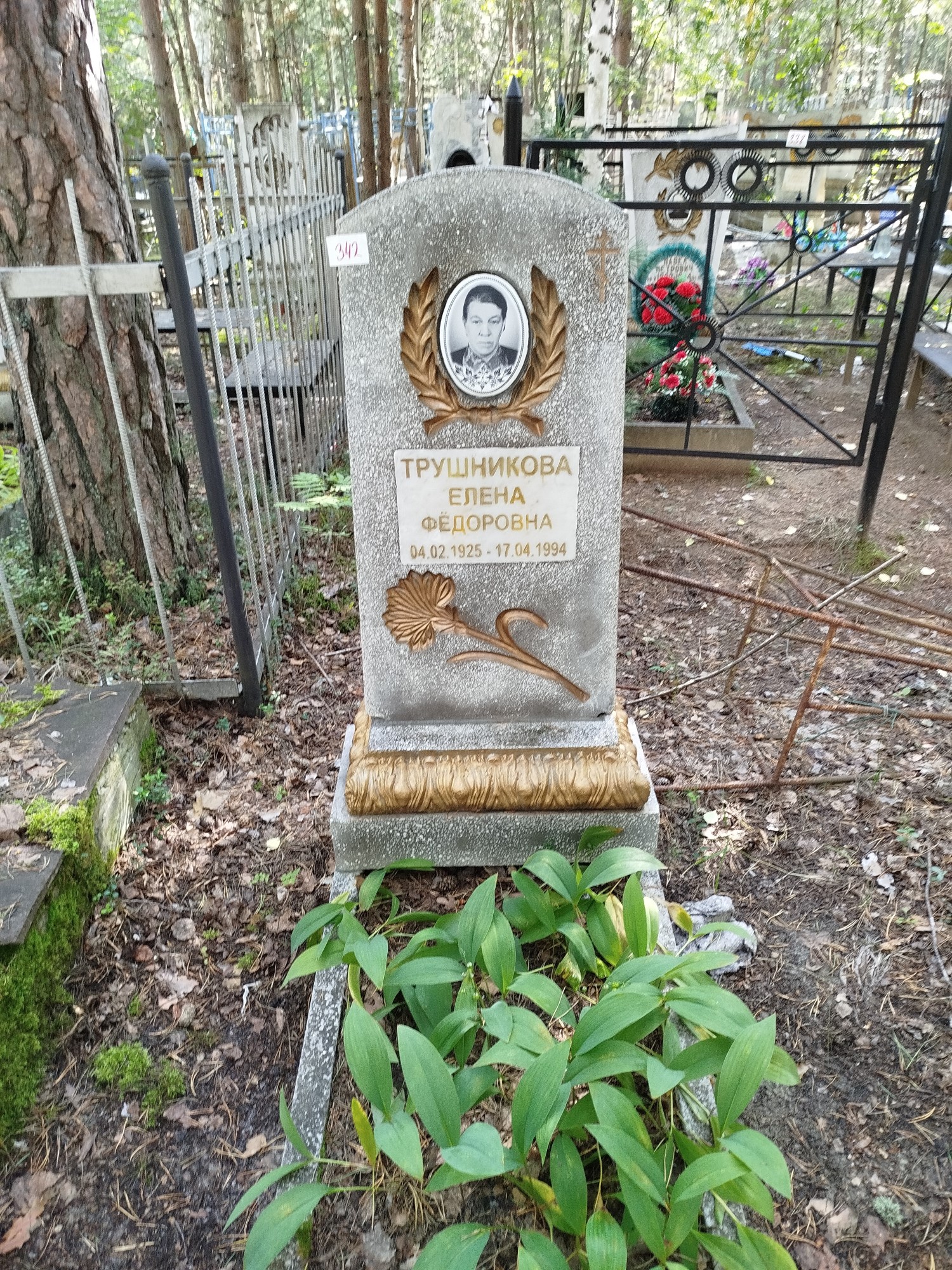 Трушникова Елена Федоровна