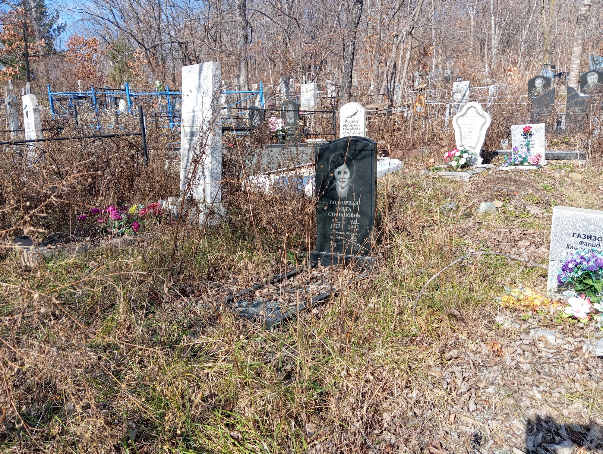 Подгорная Ольга Степановна