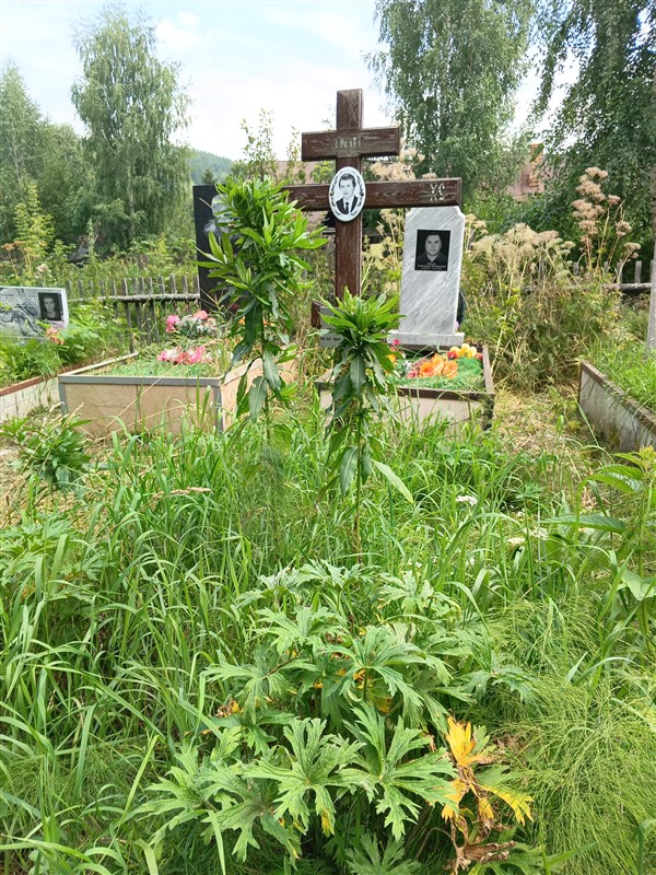 Вяткин Евгений Александрович