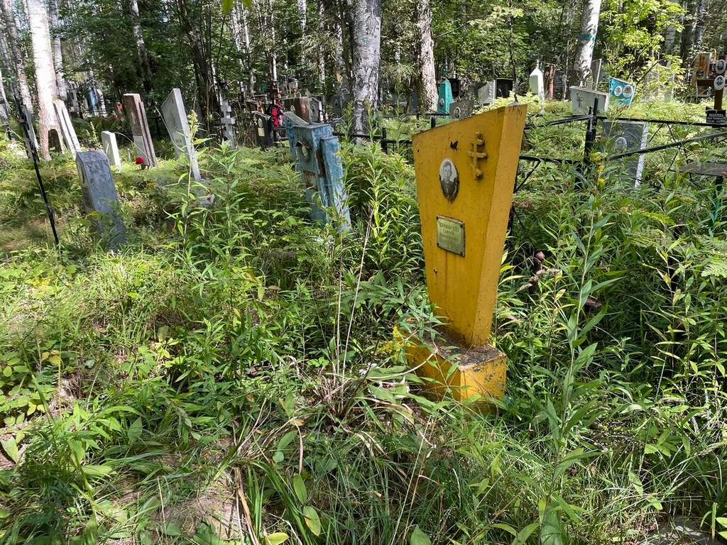 Чекольских Сергей Дмитриевич