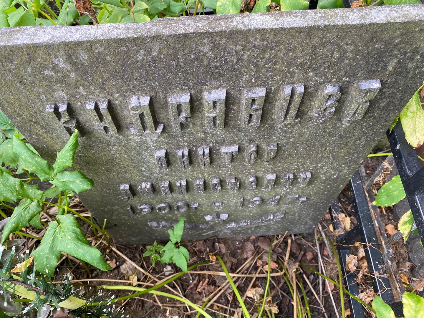 Кипрявцев Кипрявцев