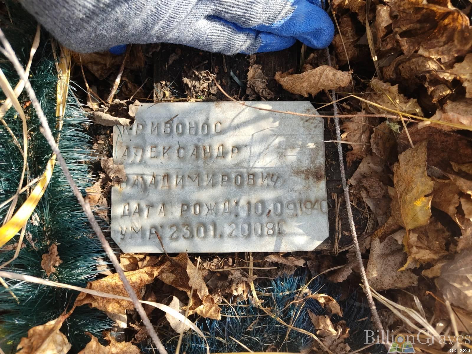 Кривонос Александр Владимирович