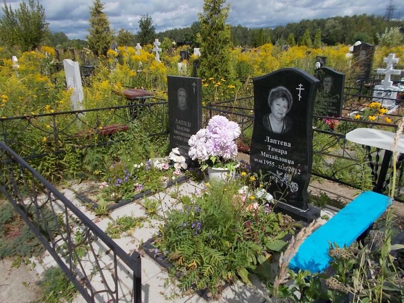 Лаптева Тамара Михайловна