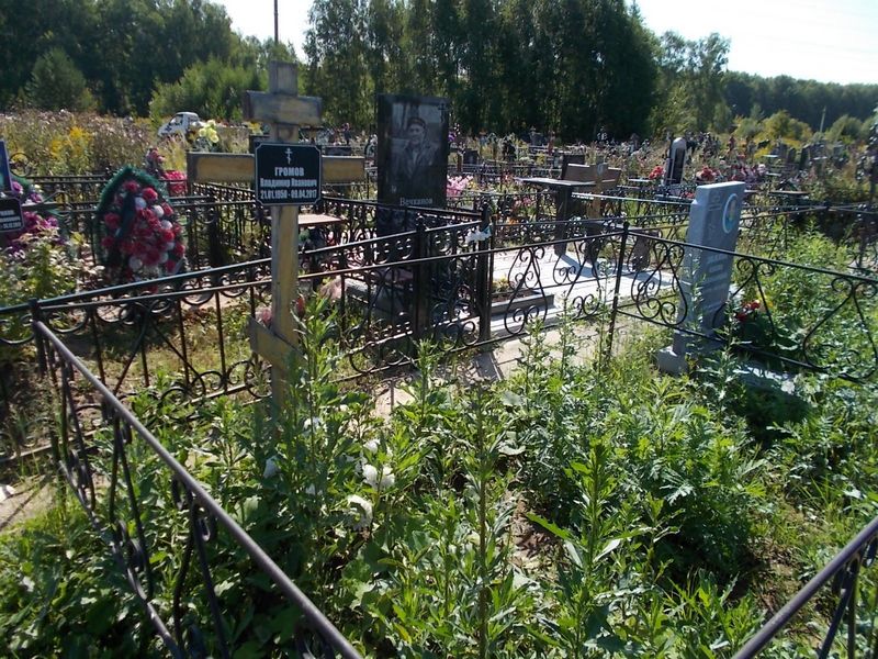 Громв Владимир Иванович
